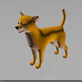 Yellow Chihuahua Dog Standing On Black Shiny Surface With Gray Background