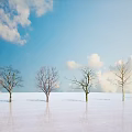 Bare Trees Standing in Snowy Landscape Under Blue Sky With White Clouds