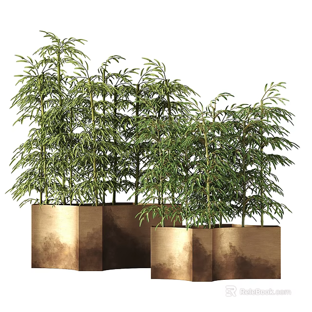 Bonsai Potted Plants With Green Foliage In Square Gold Copper Metal Planters 3d model 