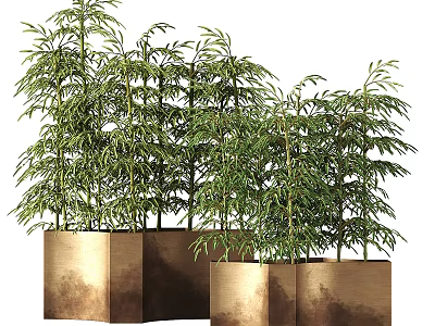 Bonsai Potted Plants With Green Foliage In Square Gold Copper Metal Planters 3d model