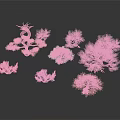 Colorful Decorative Plants With Unique Shapes In Pink Purple Blue Red And Green