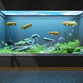 Golden Dragon Fish Aquarium 3d model