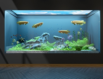 Golden Dragon Fish Aquarium 3d model