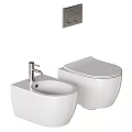 Modern Black And White Toilets With Sleek Design And Bathroom Fixtures