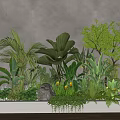 Indoor Landscape Featuring Verdant Leafy Plants Ferns Palm Leaves And Stone Decor