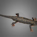 Detailed Black Salamander With Yellow Spots And Red Limbs On Gray Background