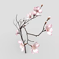 Pink Flowering Branch With Blooming Blossoms And Small Flower Buds On Gray Background
