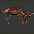 Red Aquatic Crab With Large Open Claws And Shiny Body On Dark Background