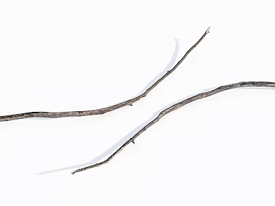 Modern Wood Dead Wood Dead Branch 3d model
