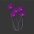 Purple Dandelion Like Plant With Multiple Flowers Curved Stems And Support Structure Against Dark Background