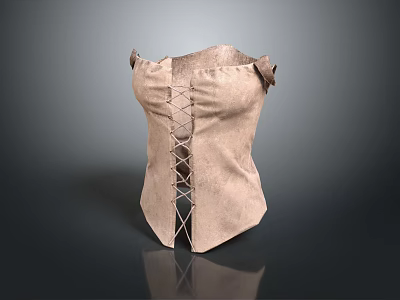 Sleeveless Light Brown Leather Like Corset With Stylish Crisscross Lacing Back Design 3d model