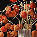 Elegant Decorative Ornament Set With White Wavy Vase Orange Red Physalis Dried Branches Black Background