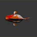 Vibrant Orange And White Goldfish With Bright Scales And Large Eyes Swimming Gracefully