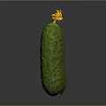 Fresh Green Spiky Cucumber With Yellow Blossom On Gray Background