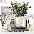 Stylish Decorative Ornament Combination with Green Plant White Vase Fragrance Diffuser Candles and Books