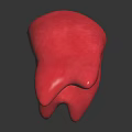 Red Human Organ Sculpture With Hairy Surface Displayed On Black Background