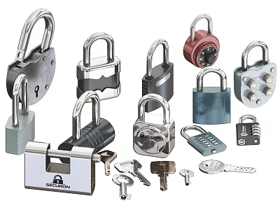 Assorted Padlocks and Keys with Different Designs for Security Needs 3d model