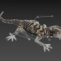 gecko lizard palace animal pet cold-blooded animal reptile 3d model