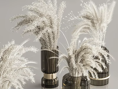 Dark Colored Vases with White Dried Flowers and Elegant Gold Bases 3d model