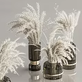 Dark Colored Vases with White Dried Flowers and Elegant Gold Bases