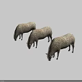 Three Fluffy Brown Sheep Grazing in a Line on White Background
