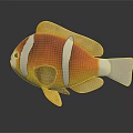 Vibrant Aquatic Animal Clownfish With Orange Body White Stripes And Yellow Fins On Dark Background