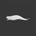 White Beluga Whale Aquatic Animal With Open Mouth And Smooth Skin Marine Life Features