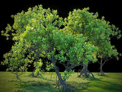 Green Lush Shrub With Dense Leaves And Exposed Roots Growing In Grassland 3d model