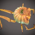 Spooky Halloween Pumpkin Monster With Yellow Eyes Sharp Teeth And Long Legs