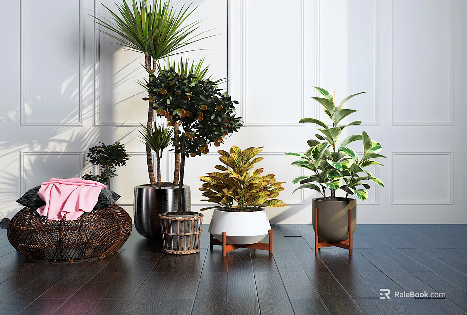 Indoor Bonsai Potted Plants With Green Leafy Foliage In Ceramic And Woven Planters 3d model 