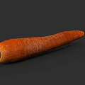 Fresh Orange Long Carrot With Textured Surface And Green Stem End