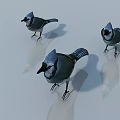 Animal character sketch 3d model