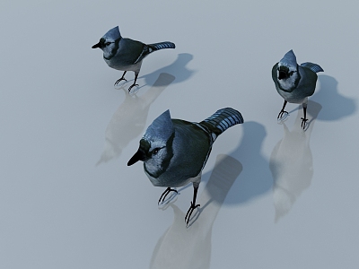 Animal character sketch 3d model