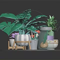 Green Monstera Plants With Various Pots On Transparent Round Tray And Wooden Stands