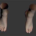 Realistic Human Feet Organ Structure With Detailed Toes Fine Hair And Smooth Skin Surface