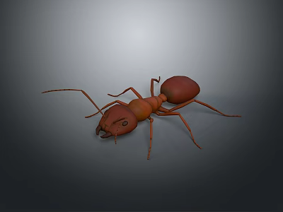 Realistic 3D Character Model Of Brown Ant With Detailed Insect Features 3d model
