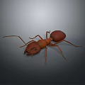 Realistic 3D Character Model Of Brown Ant With Detailed Insect Features
