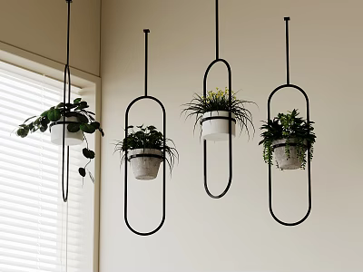 Stylish Hanging Potted Plants with Black Frames and White Pots by Window with Green Foliage 3d model
