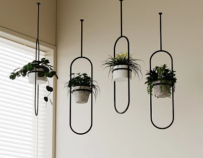 Stylish Hanging Potted Plants with Black Frames and White Pots by Window with Green Foliage 3d model