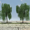 Outdoor Locker In Garden With Willow Trees And Stone Pathway Design