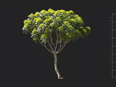 Lush Green Arbor With Multiple Branches Thick Wooden Trunk And Dense Foliage 3d model