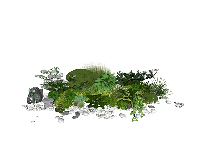 Diverse Green Plants And Flowers With Ferns Shrubs Moss And Pebbles In Natural Garden 3d model