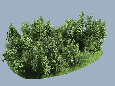 Modern Trees Forest Group Trees Garden Landscape Trees 3d model