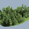 Modern Trees Trees Forest Group Trees Garden Landscape Trees 3d model