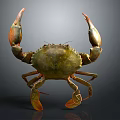 Realistic Giant Crab With Large Orange Claws And Green Shell On Dark Background
