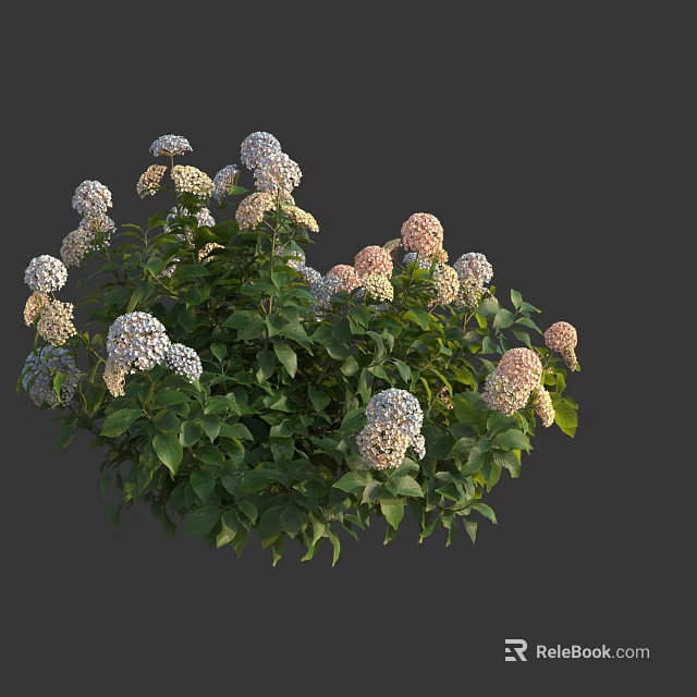 Lush Flowering Bushes With Green Leaves And White Pink Blooms In Garden 3d model 