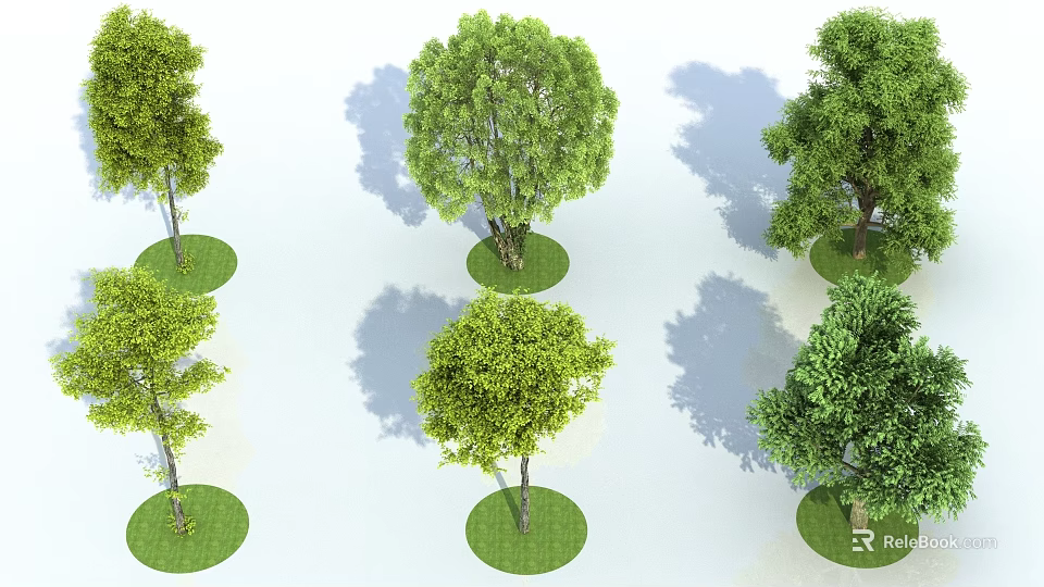 Various Form Arbor Trees Planted On Circular Grass Patches With Shadows 3d model