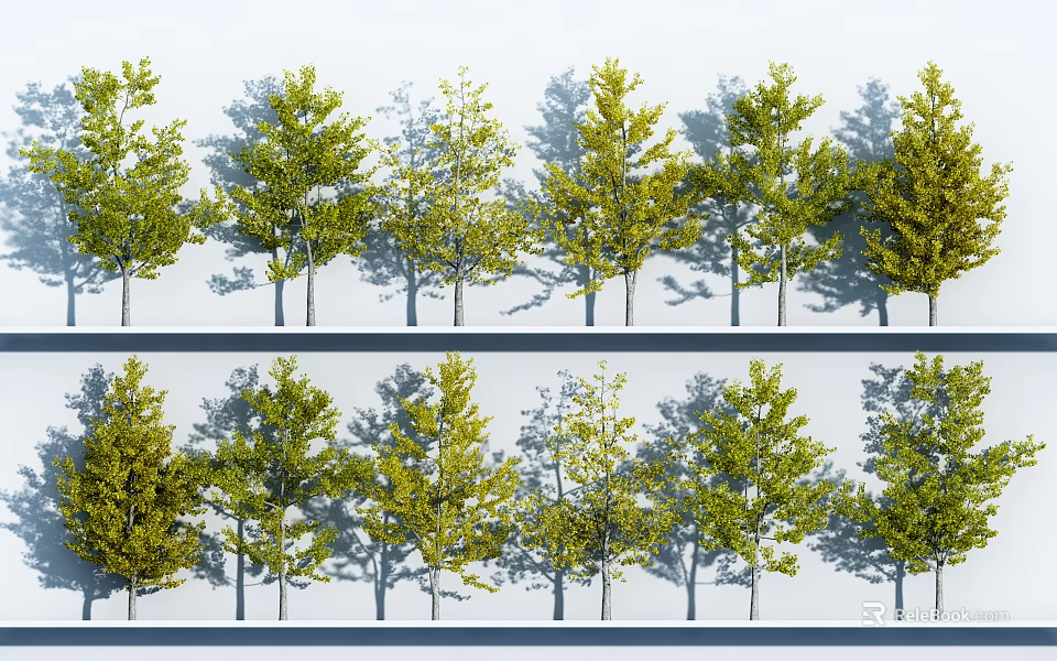 Rows of Arbor Trees With Various Green Tones And Shadows On White Background 3d model 