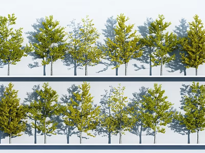 Rows of Arbor Trees With Various Green Tones And Shadows On White Background 3d model