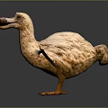 Light Colored Bird Sculpture With Spreading Wings And Orange Claws Standing On Dark Background